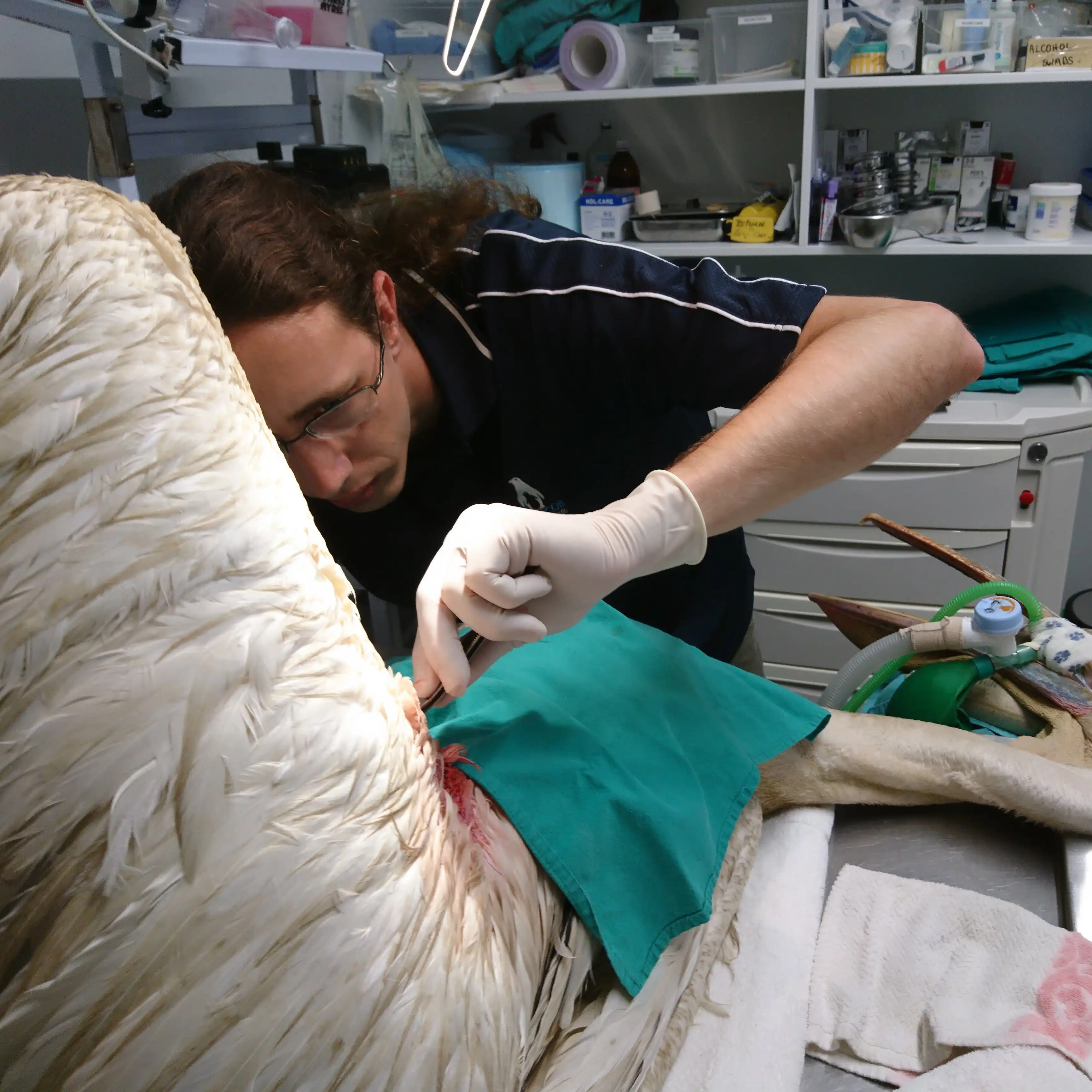 Dr David Gordon Roberts